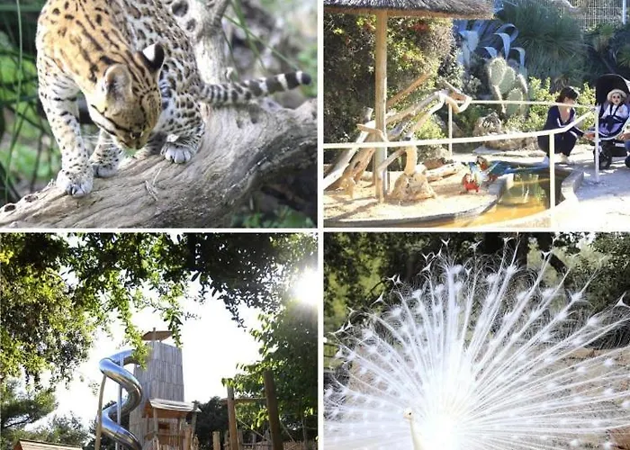 Apartman Les Baux 1 *